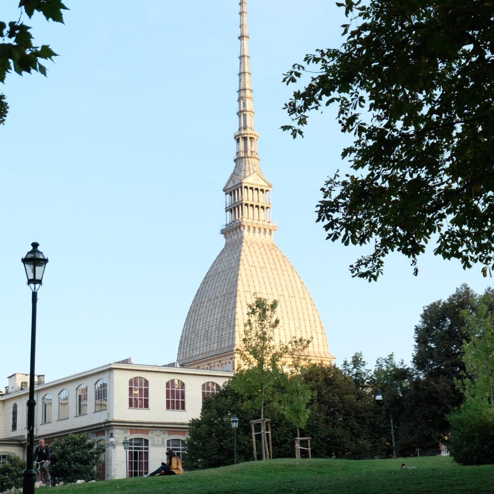 pexels-ardila-wan-5212201